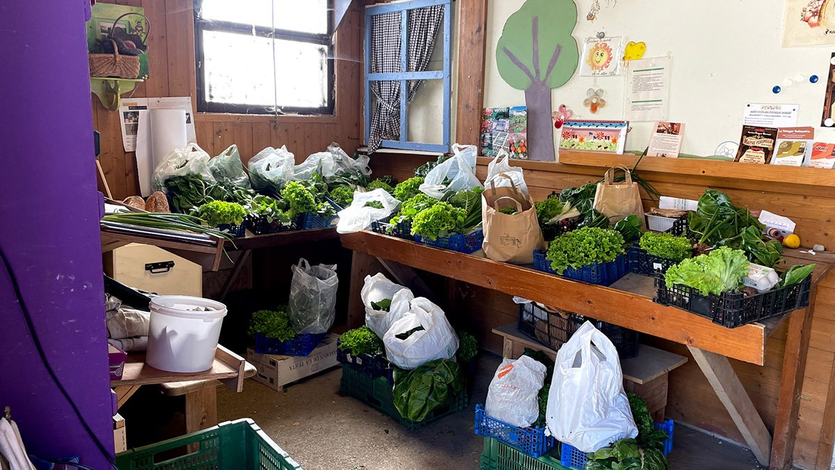 1er panier de l’année 2026 : la saison est lancée !